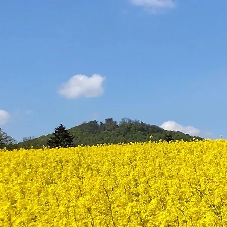 Marlen * Naumburg (Hessen)