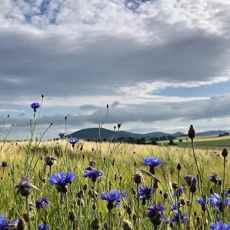 Daire Marlen Naumburg (Hessen)